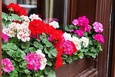 PlayStation推荐明年上半年入手的游戏 《浪人崛起》等